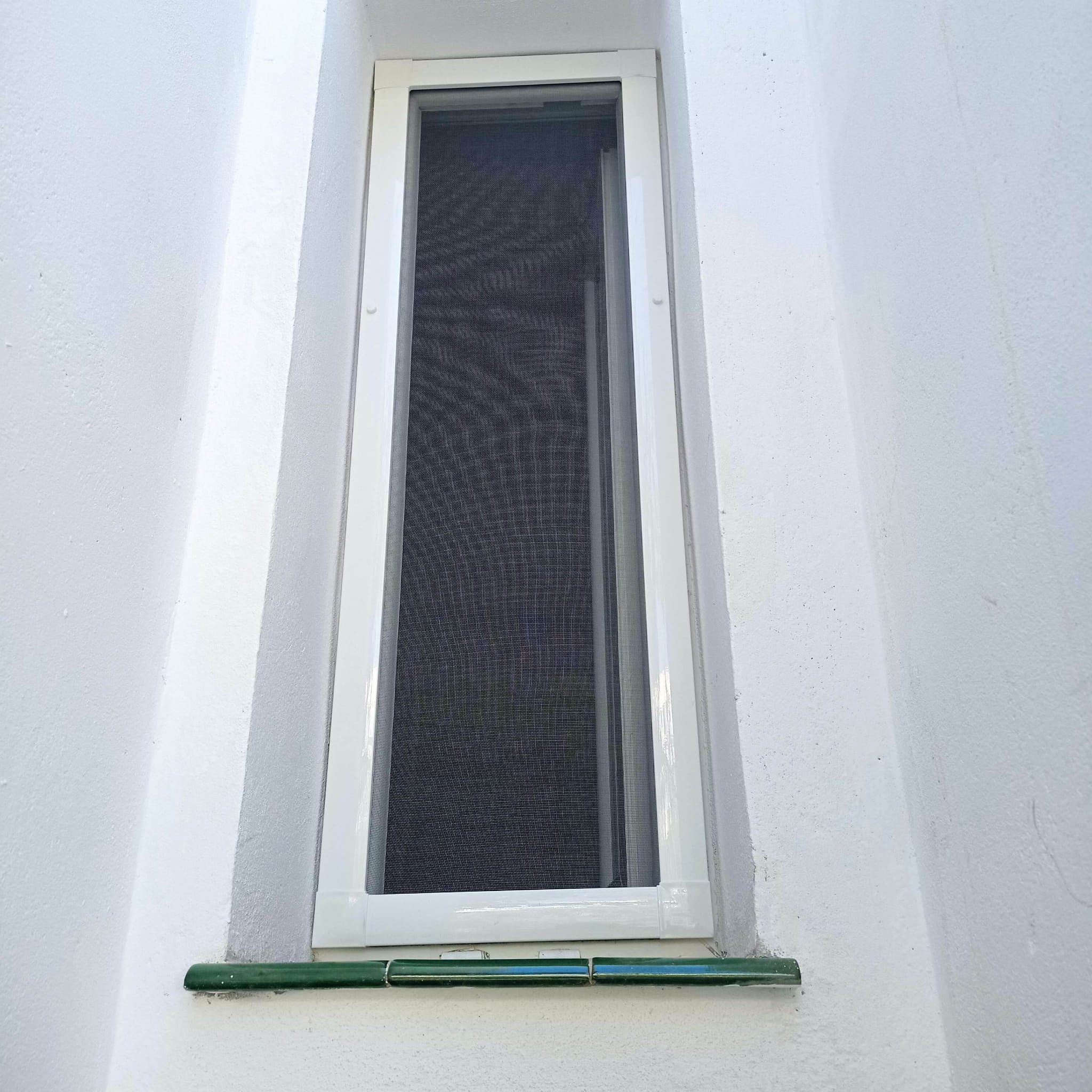 Mosquitera fija blanca